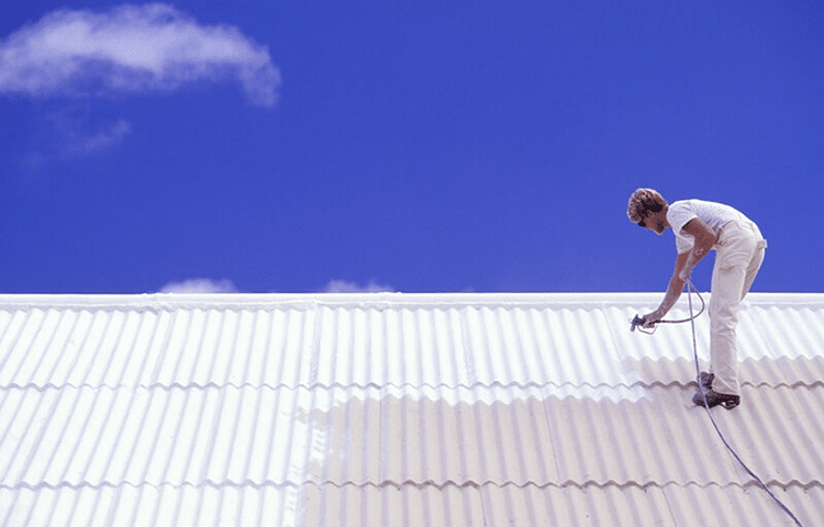 roof-painting-cost copy